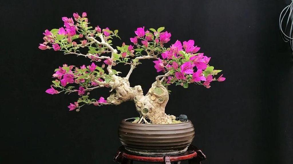 道全（26G版） 苍井空AV伦理电影